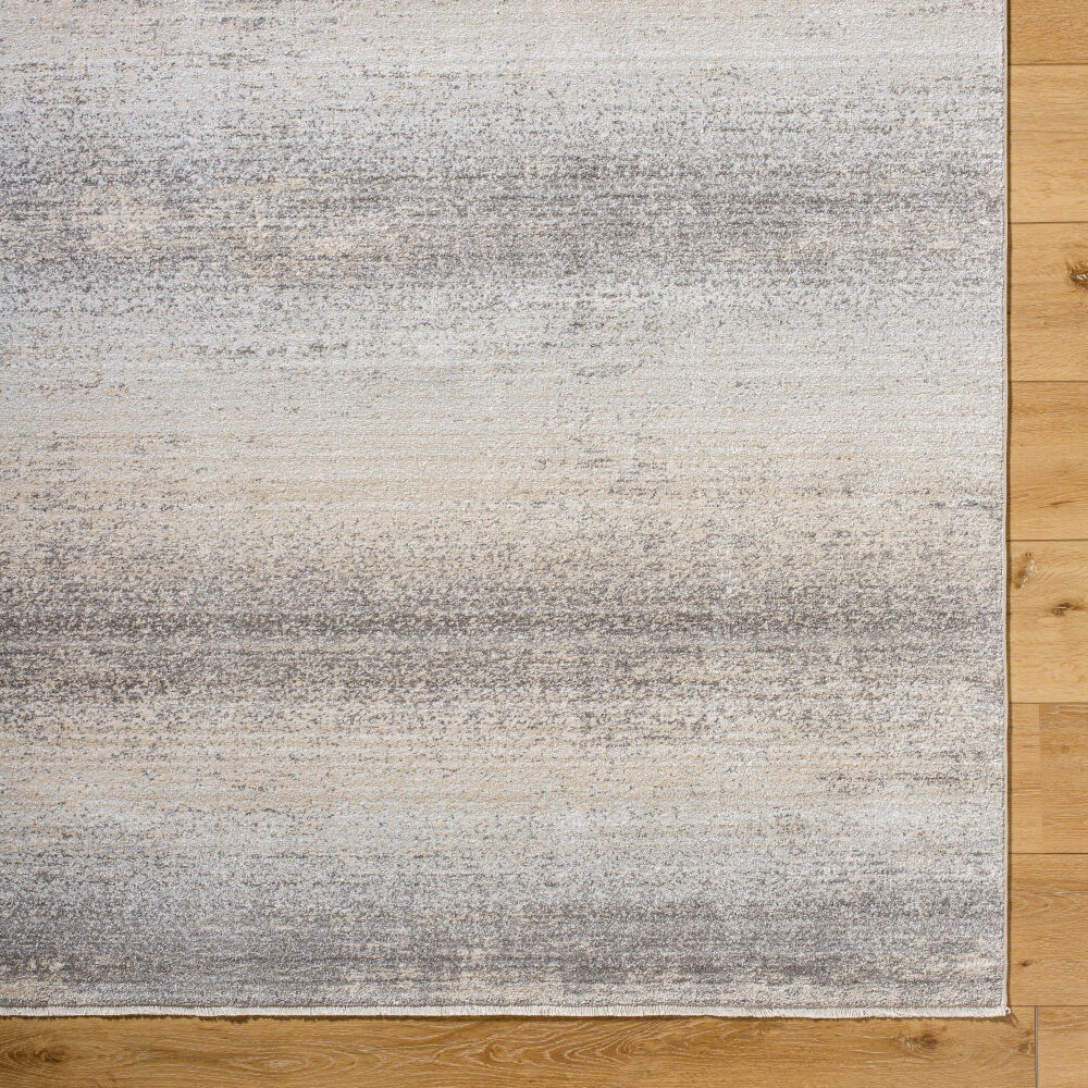 Rojin Machine Woven Rug