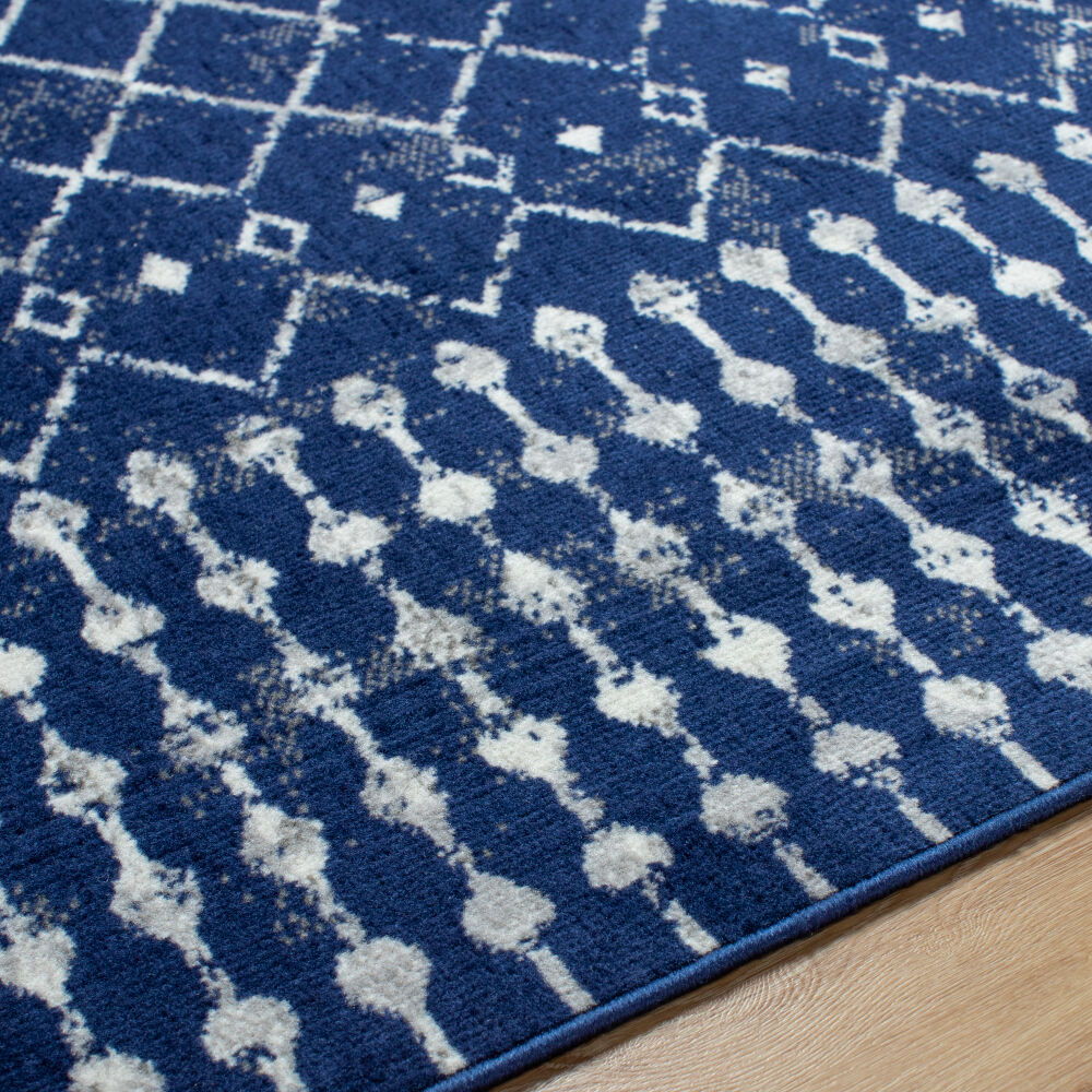 Pisa Machine Woven Rug