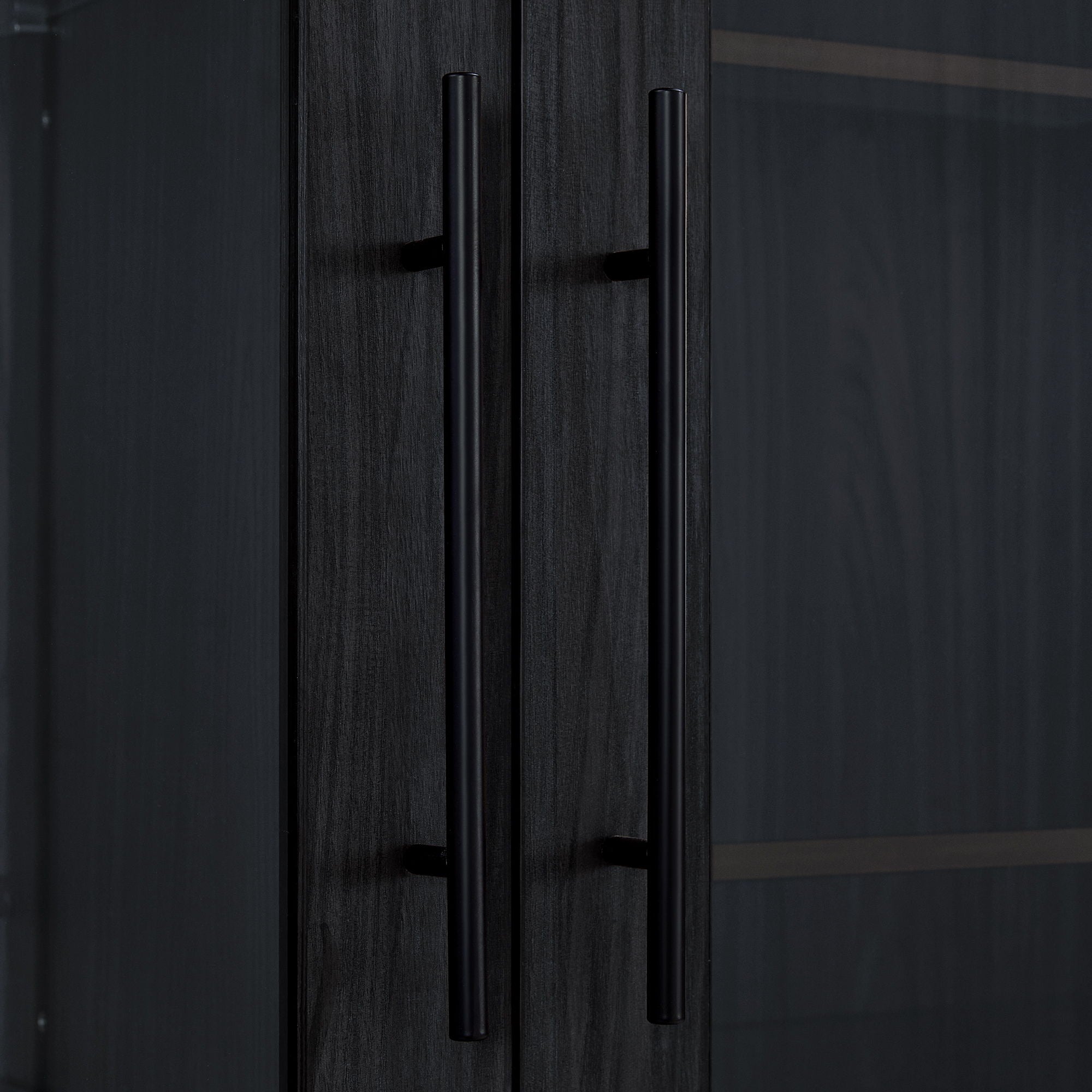 Modern Style Tall Display Cabinet With LED Lighting, Tempered Glass Door, 2 Drawers