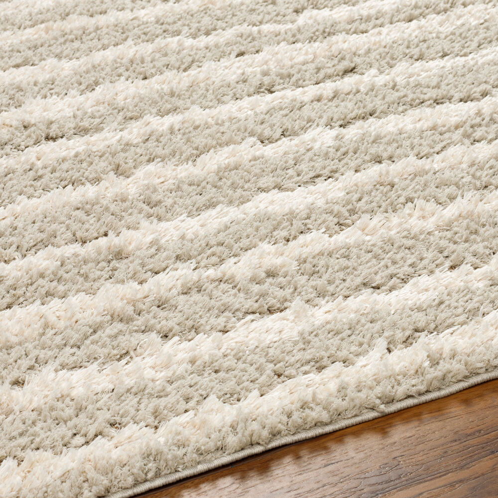 Maryland Shag Machine Woven Rug