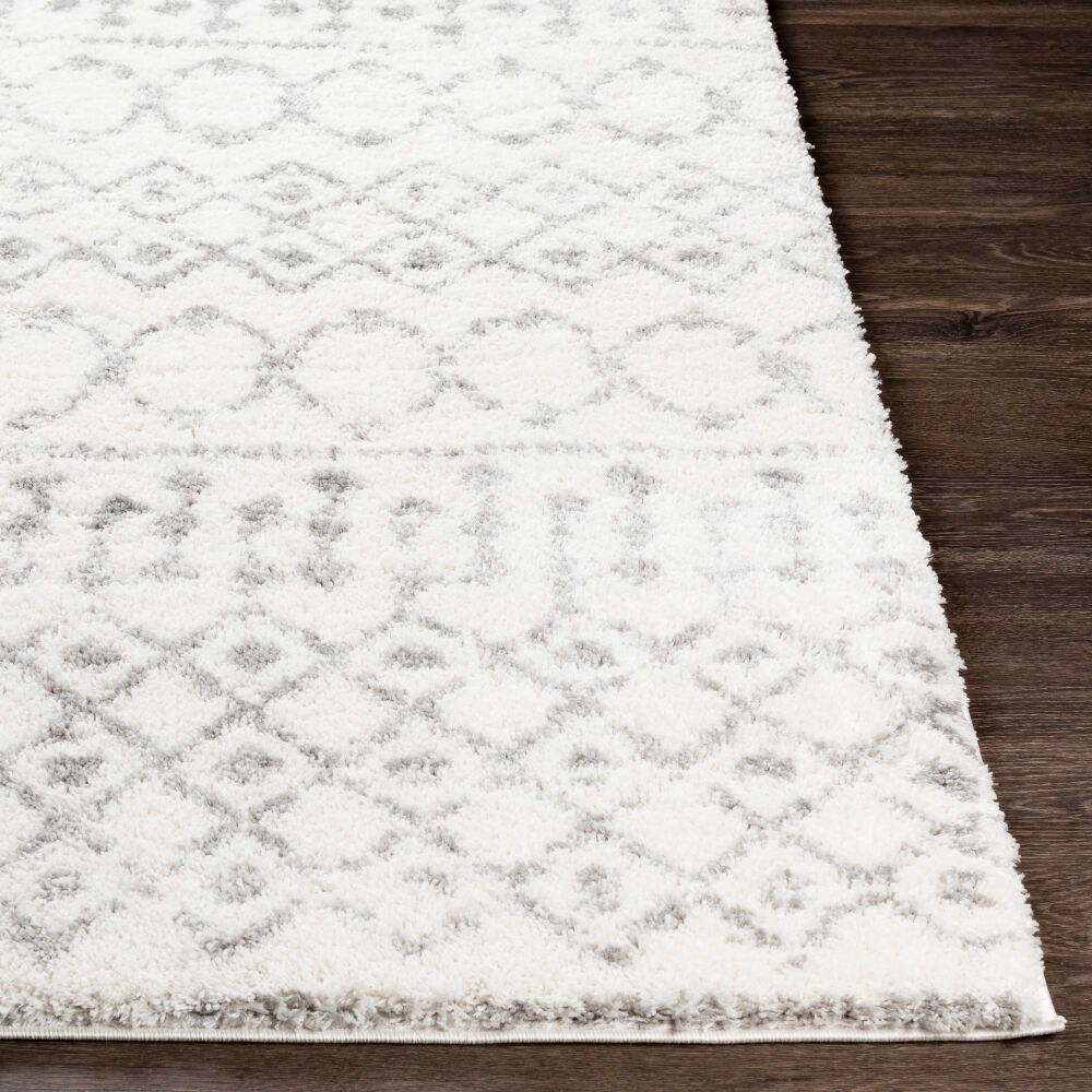 Aliyah Shag Machine Woven Rug