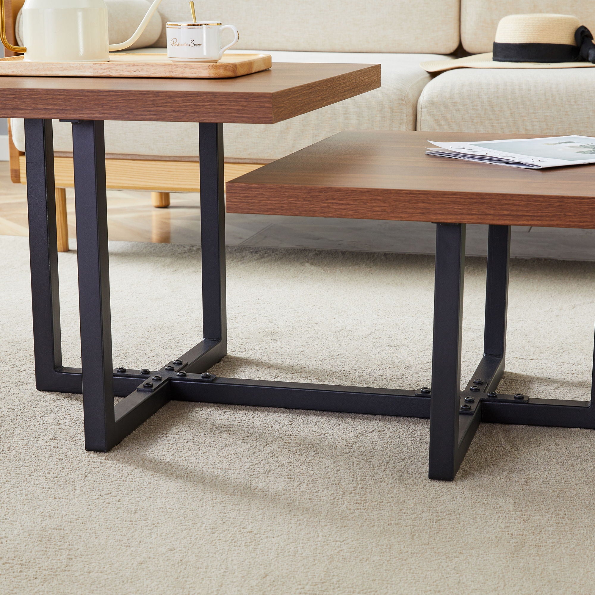 Perfectly Integrating Modern And Scandinavian Styles Double Deck Coffee Table - Walnut