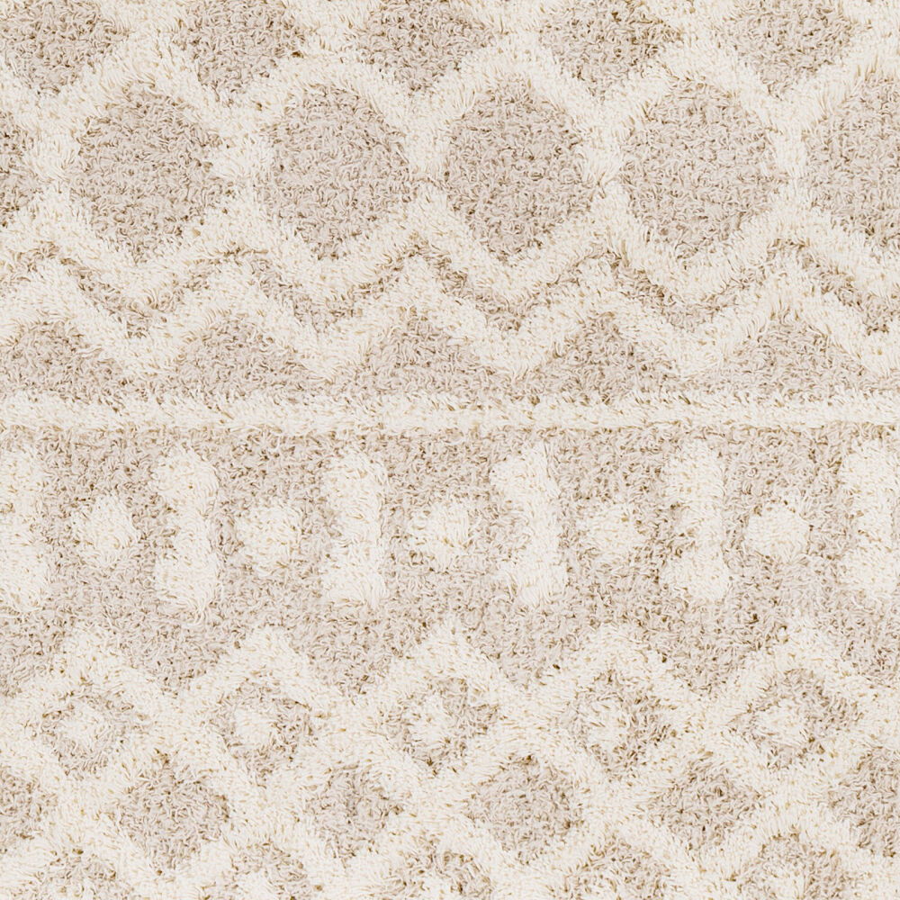 Urban Shag Machine Woven Rug