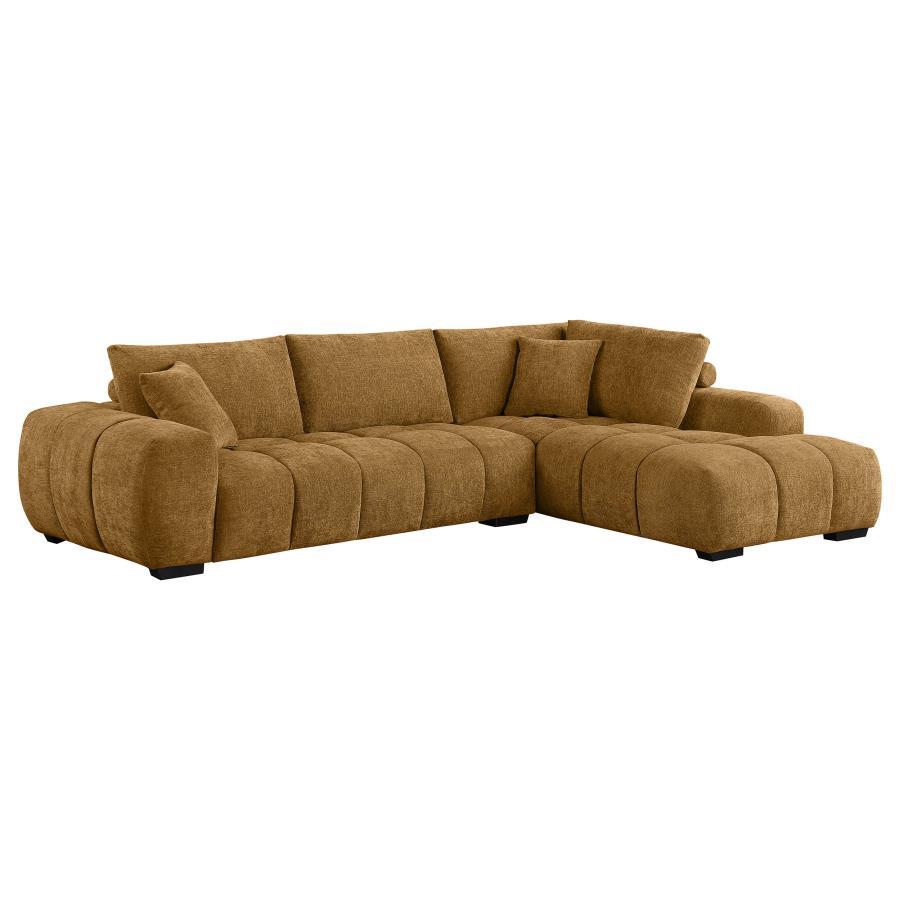Coaster Fine Furniture Camacho - Upholstered Chaise Sectional Sofa | Meri Furniture