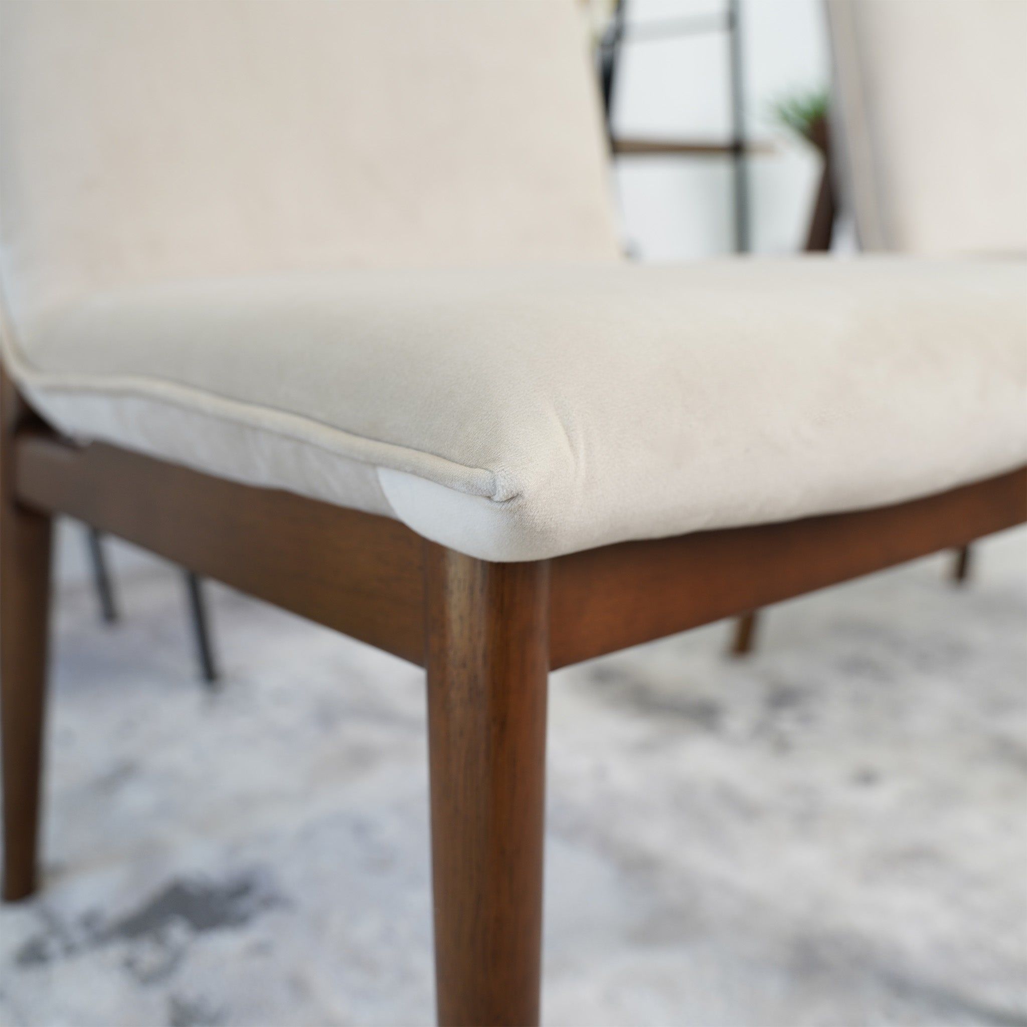 Monza - Contemporary Dining Chair (Set of 2)