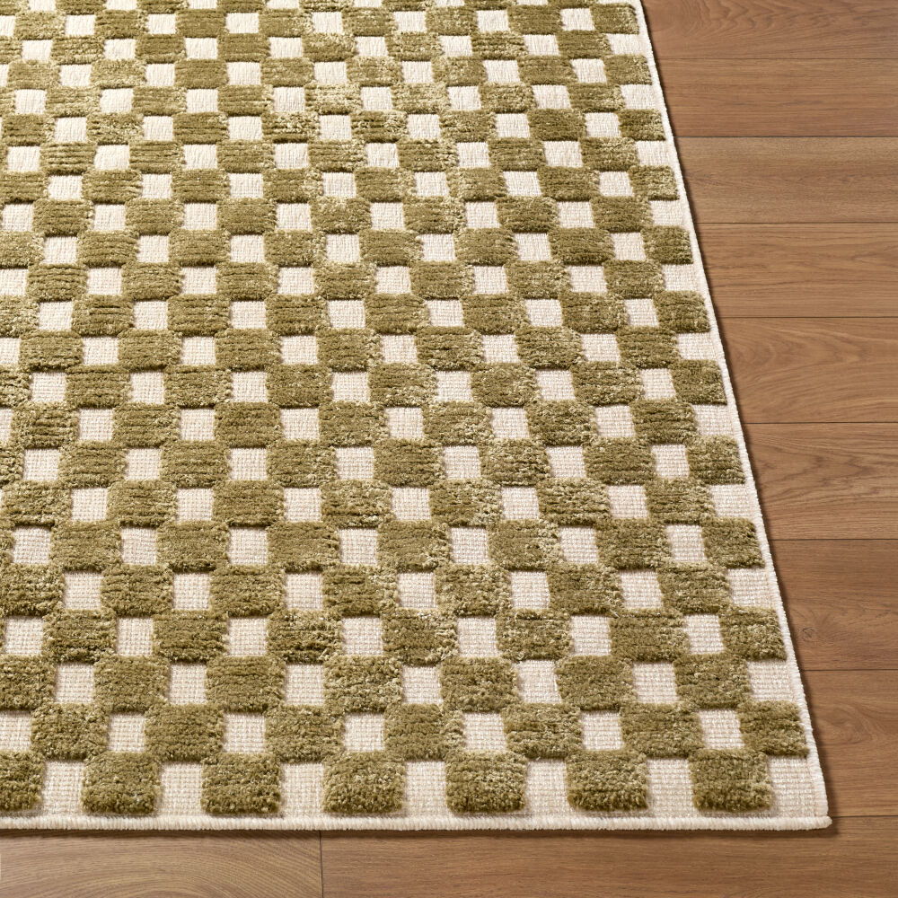 Lyna Machine Woven Rug