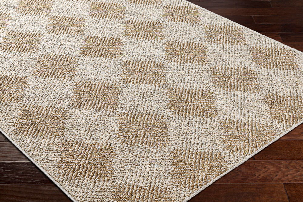 Kaya Machine Woven Rug