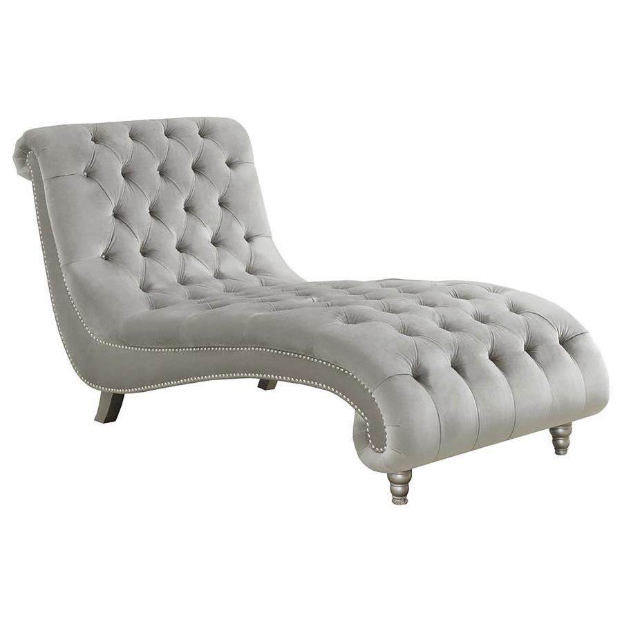 Coaster Fine Furniture Lydia - Velvet Upholstered Tufted Chaise - Gray | Meri Furniture