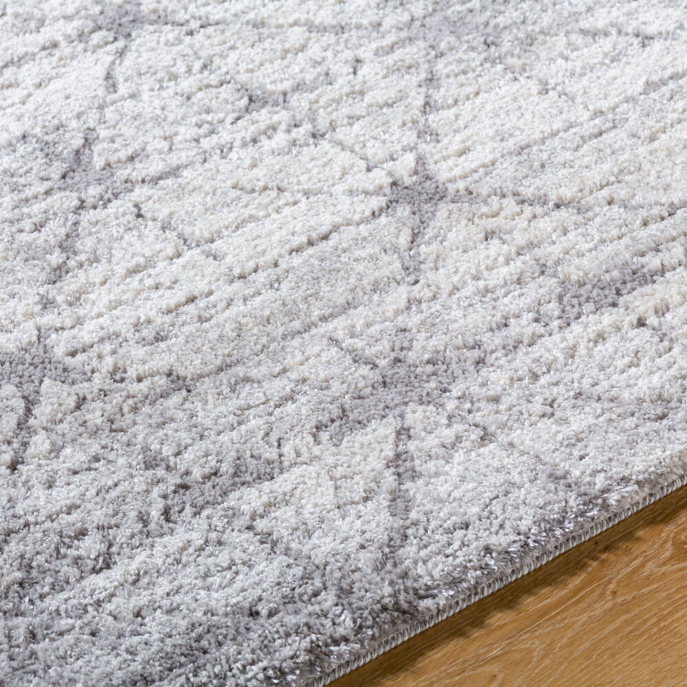 Andorra Plus Machine Woven Rug