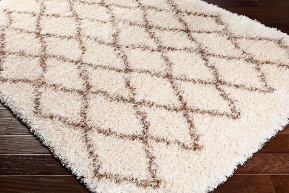 Rhapsody Machine Woven Rug