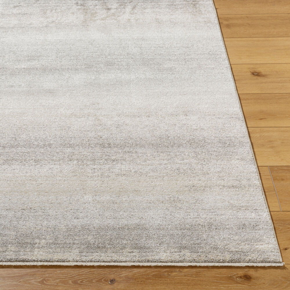 Rojin Machine Woven Rug