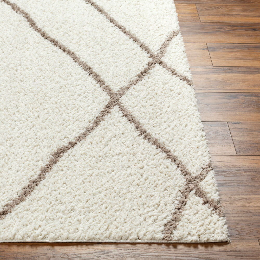 Maryland Shag Machine Woven Rug