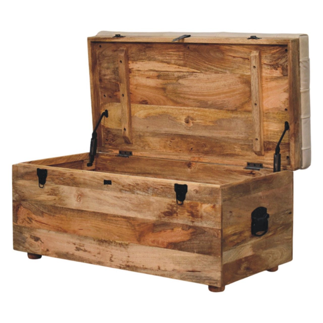 Buffalo - Leather Storage Trunk