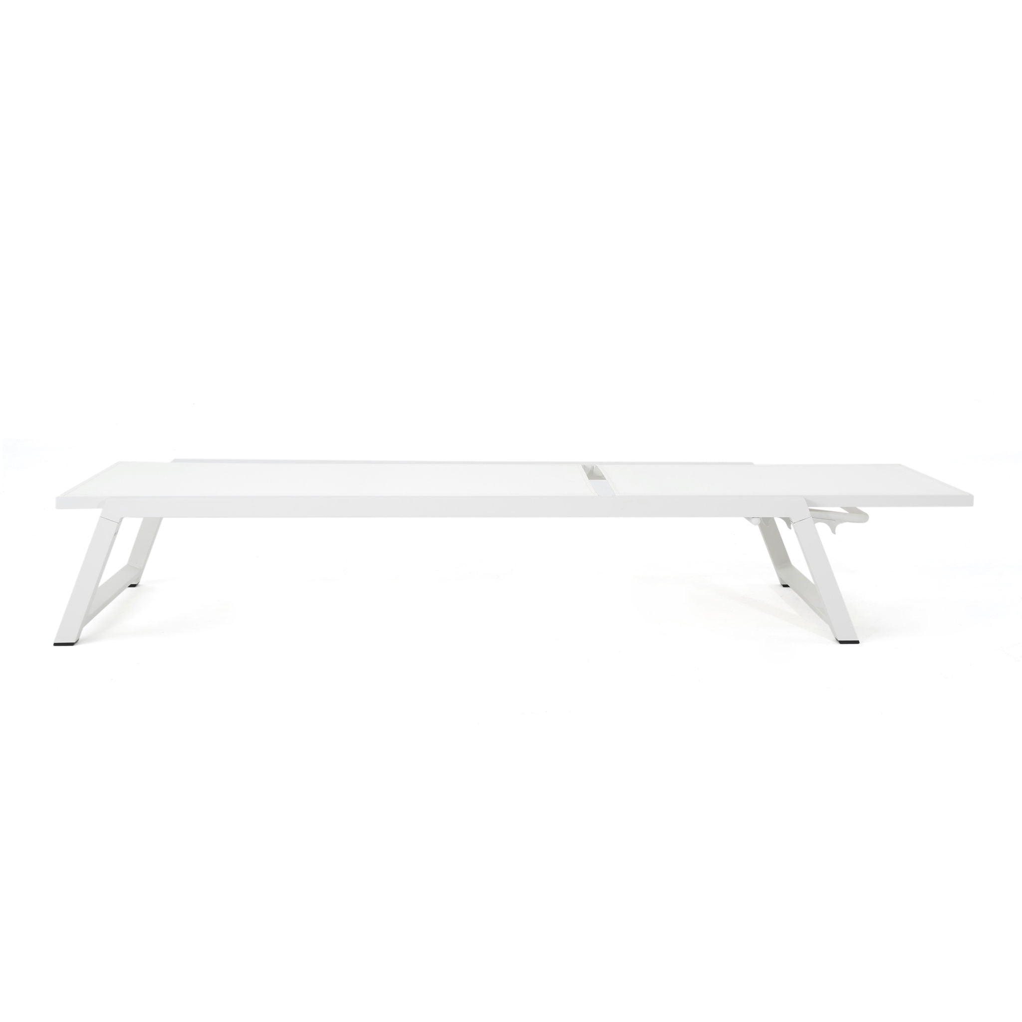 Myers - Modern Chaise Lounge Set With Adjustable Mesh Back