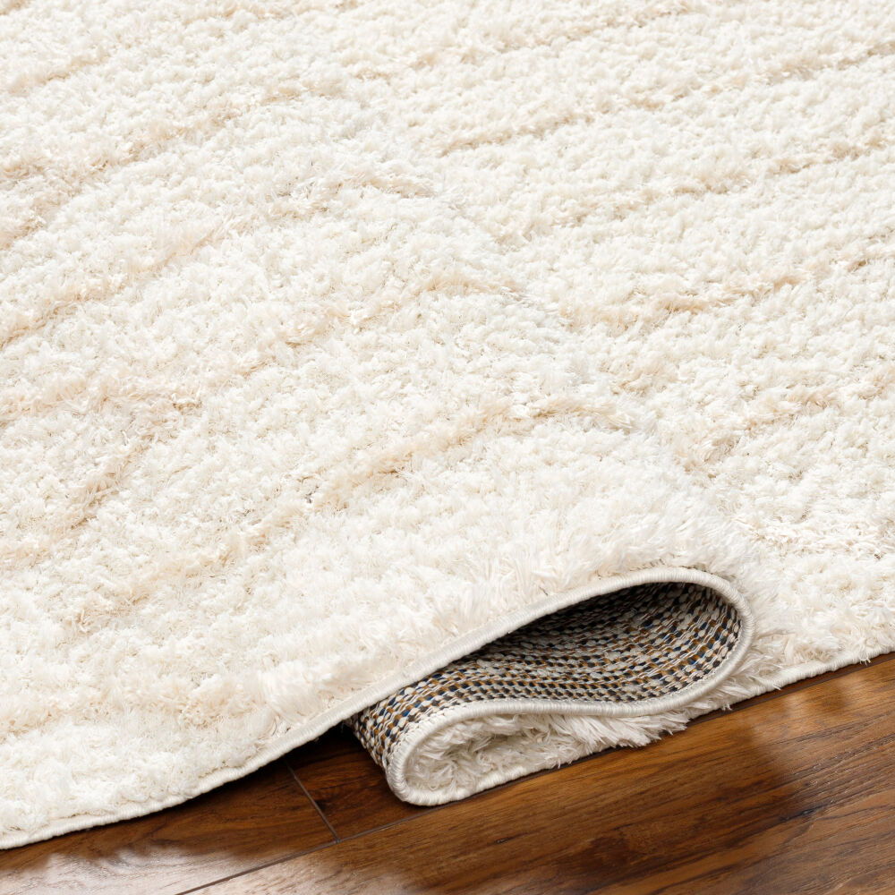 Maryland Shag Machine Woven Rug