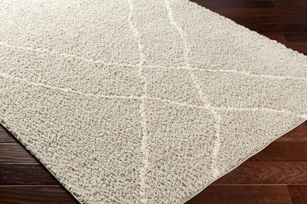 Maryland Shag Machine Woven Rug