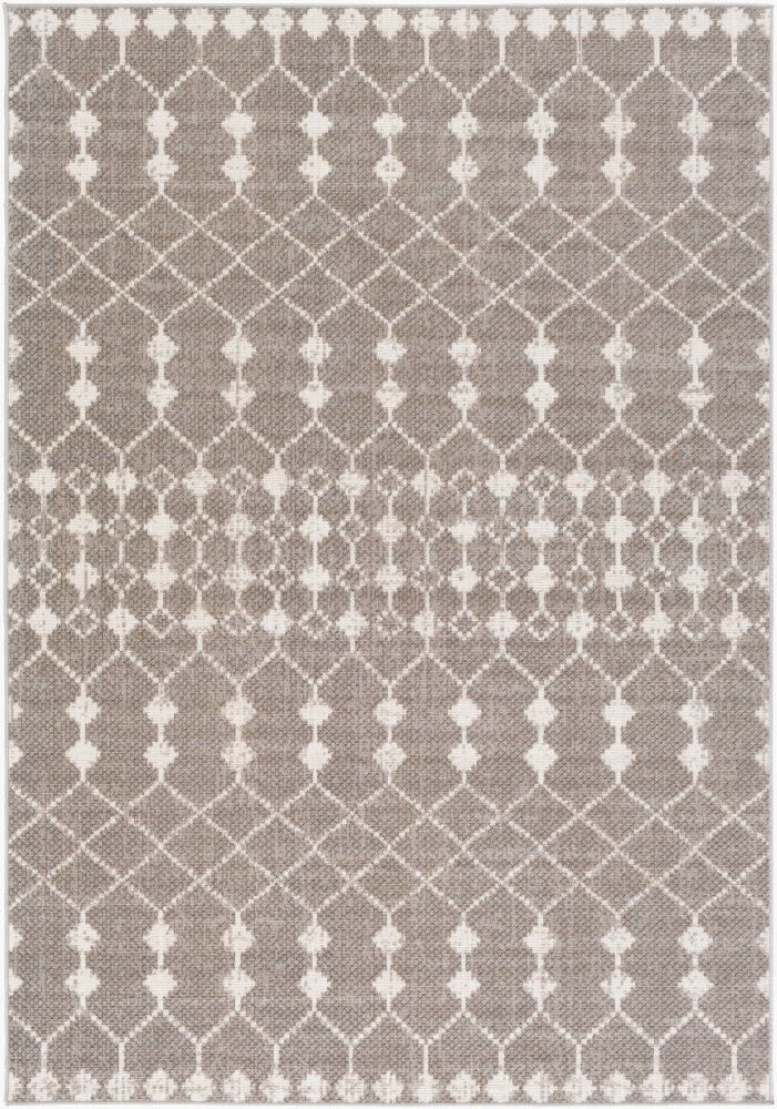 Rafetus Machine Woven Rug