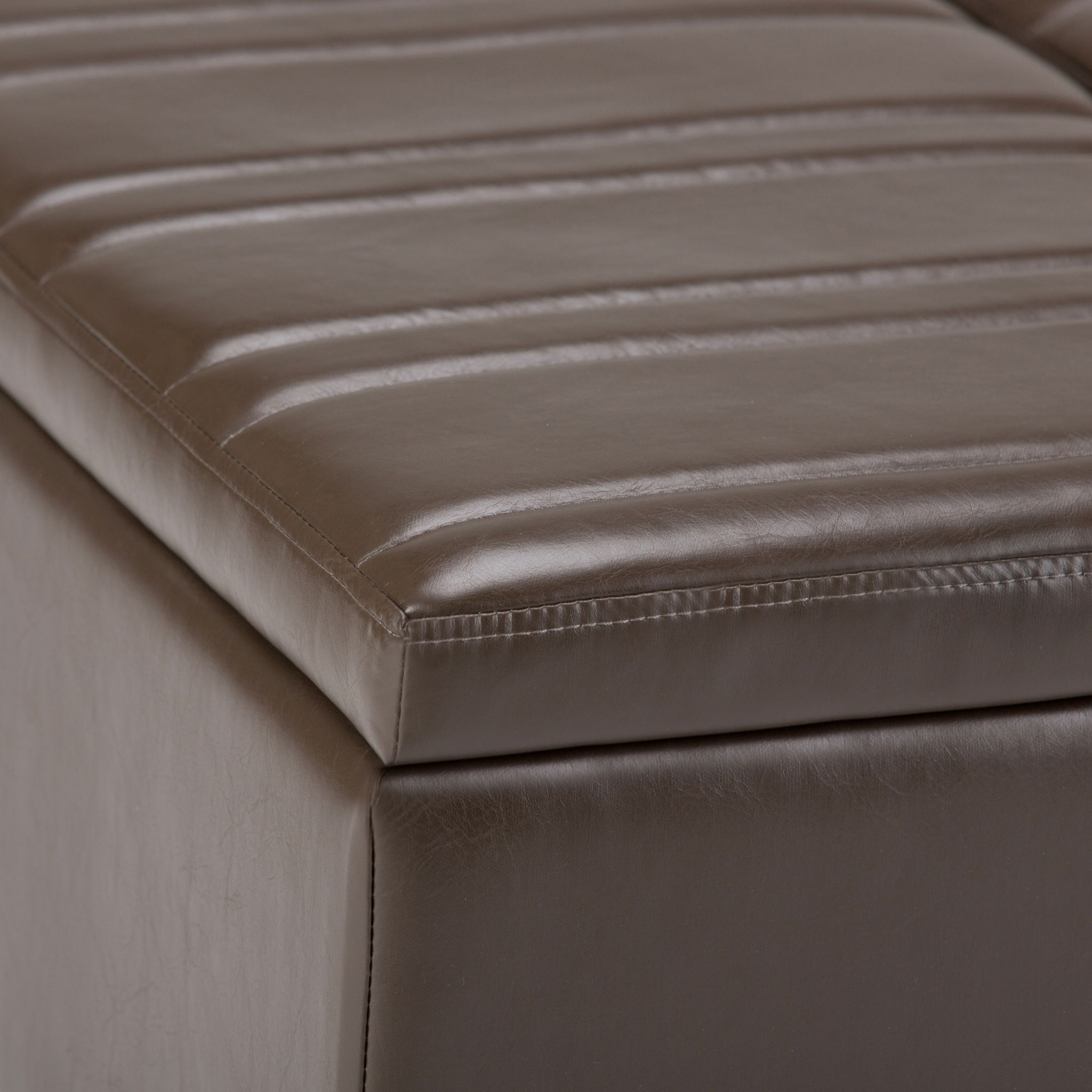 Ellis - Coffee Table Storage Ottoman Contemporary Design