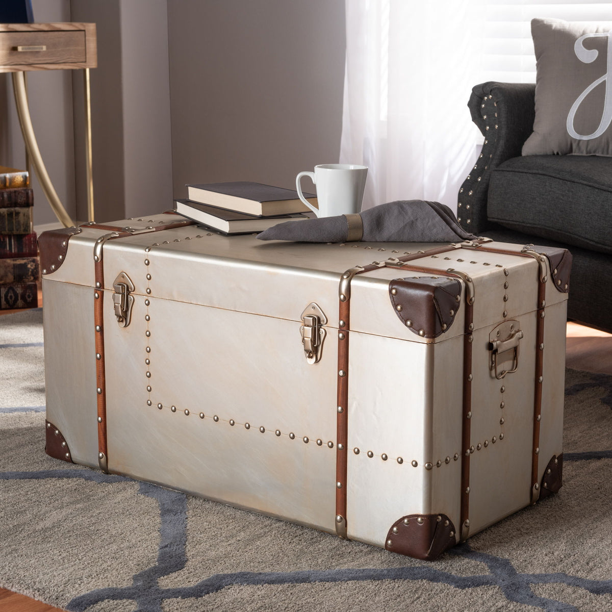 Bechet French Industrial Silver Metal Storage Trunk