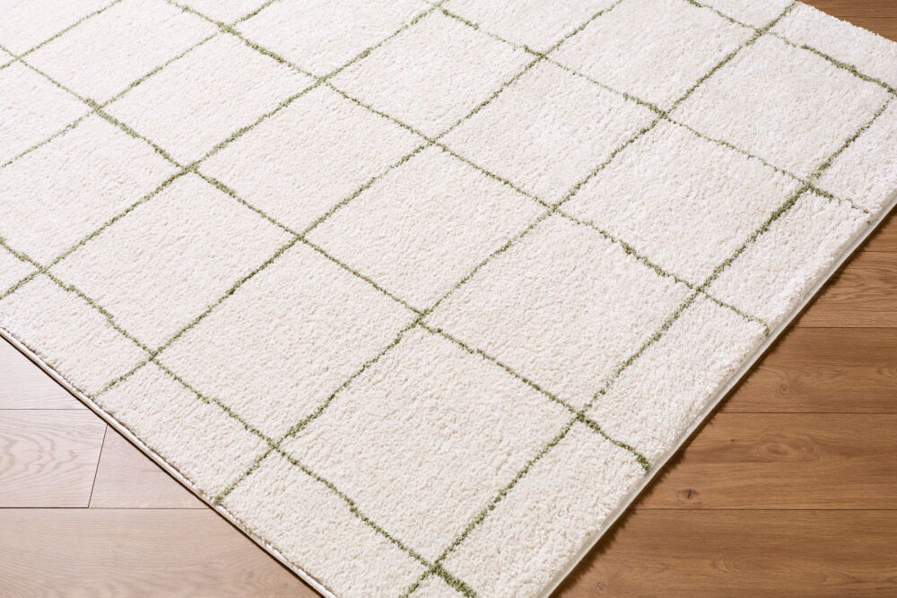 Rivoli Machine Woven Rug