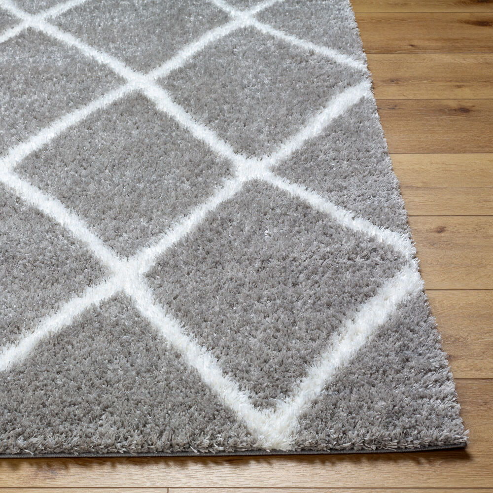 Cloudy Shag Machine Woven Rug