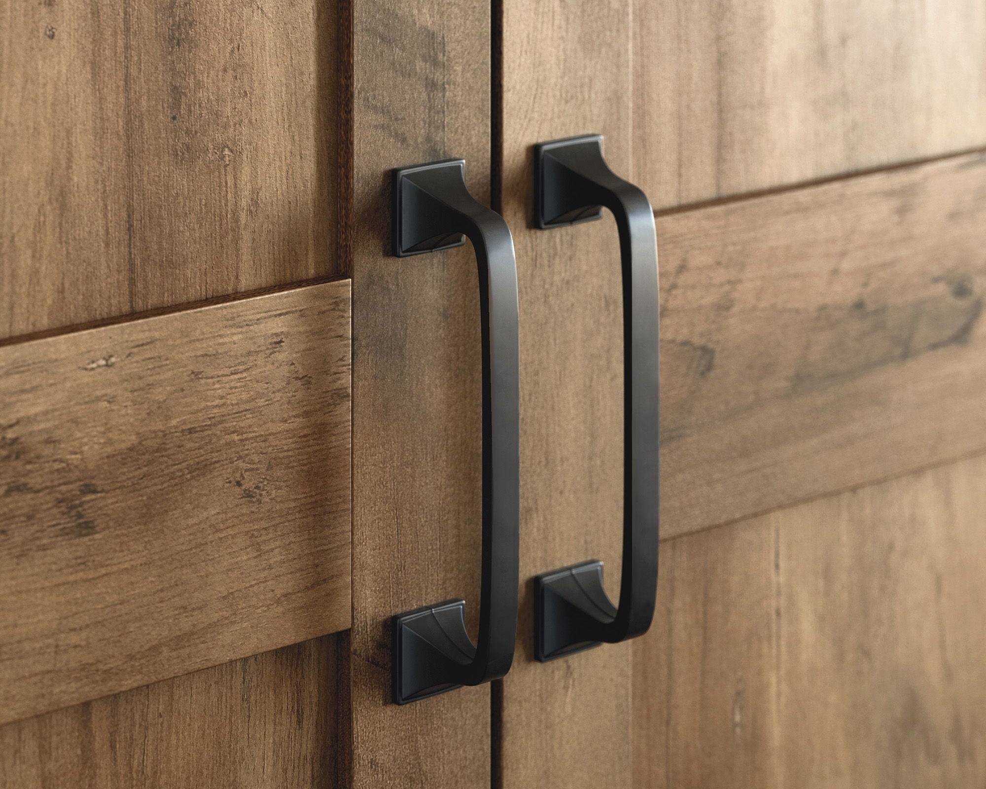 Two-Door Storage Cabinet in Pine Finish