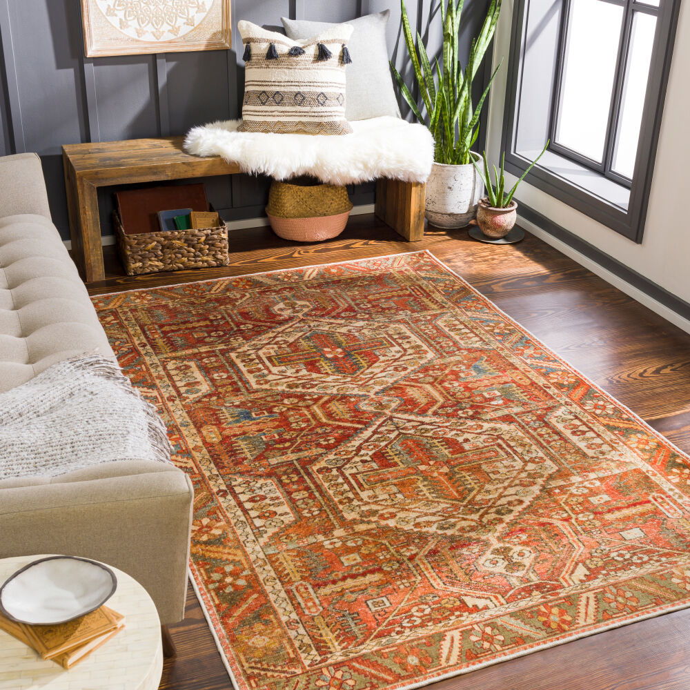 Lavable Machine Woven Rug