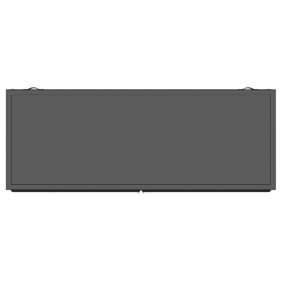 Dalia - 2 Door Accent Storage Cabinet With Shelving - Black