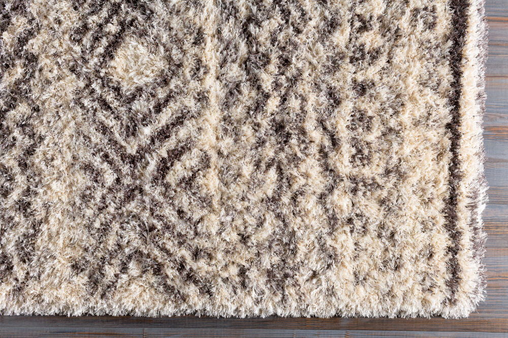 Rhapsody Machine Woven Rug