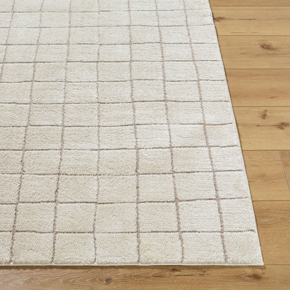 Cascade Machine Woven Rug