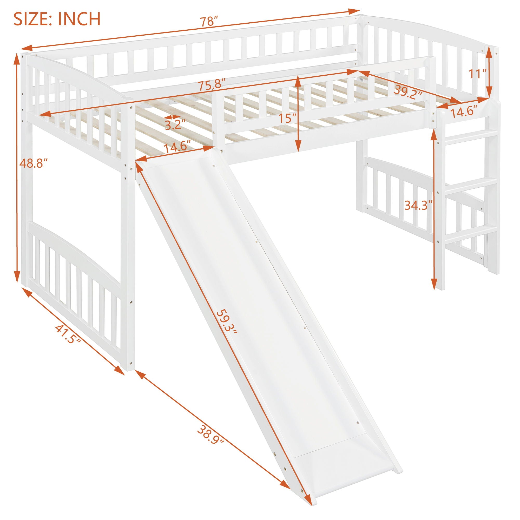 Loft Bed With Slide And Ladder