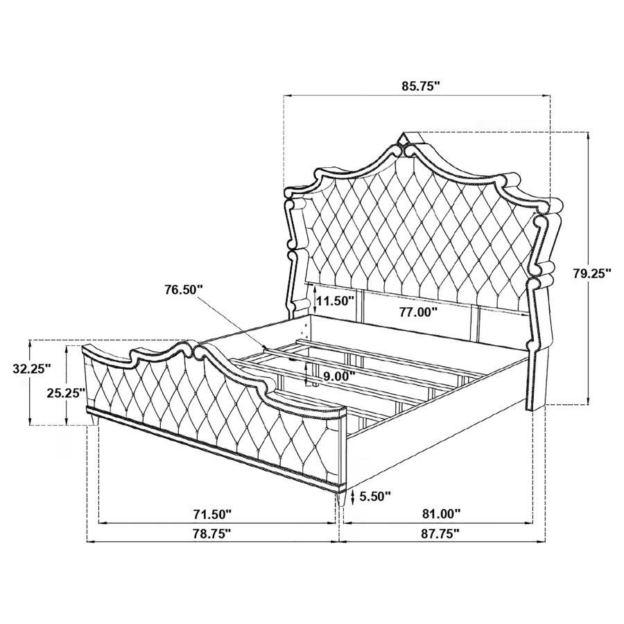 Coaster Fine Furniture Antonella - Upholstered Panel Bed | Meri Furniture