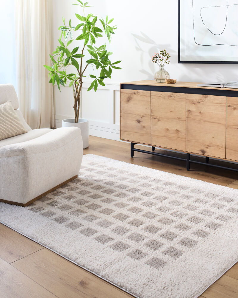 Fossay Shag Machine Woven Rug