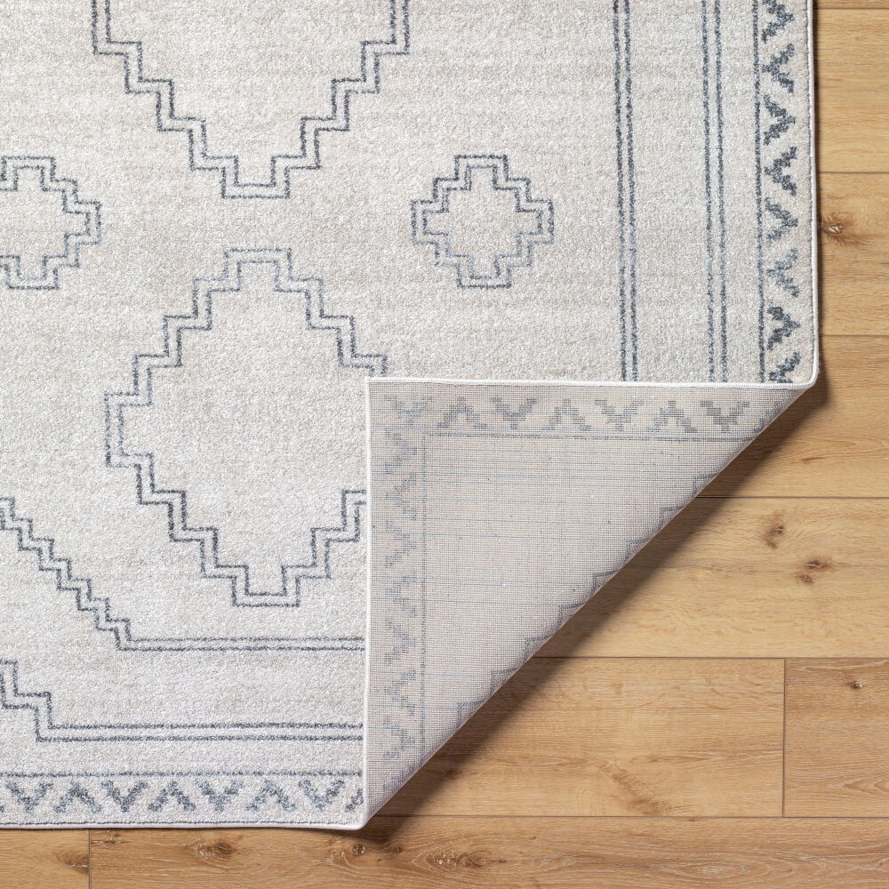 Alpharetta Machine Woven Rug