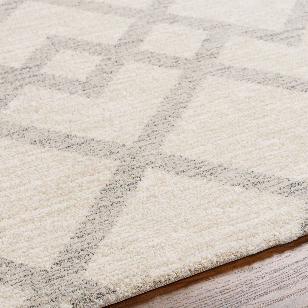 Gavic Machine Woven Rug