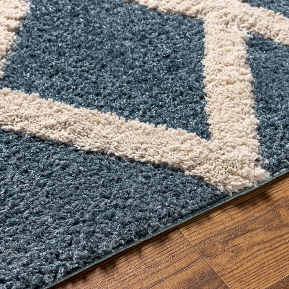 Hudson Shag Machine Woven Rug