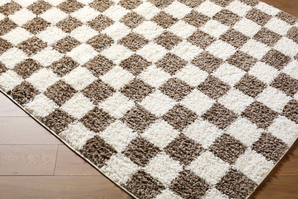 Czechia Machine Woven Rug