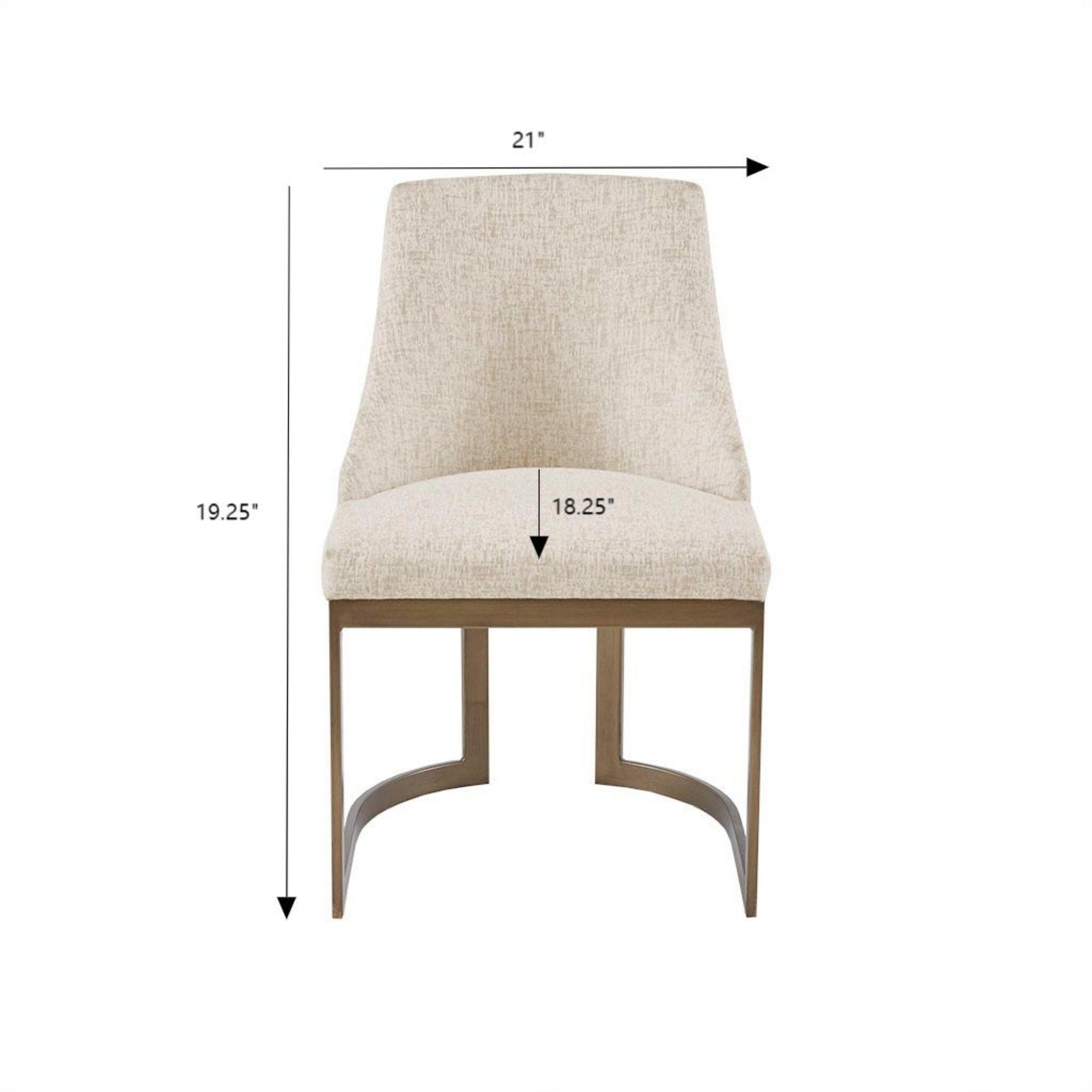 Contemporary Modern Accent Dining Chairs (Set of 2)