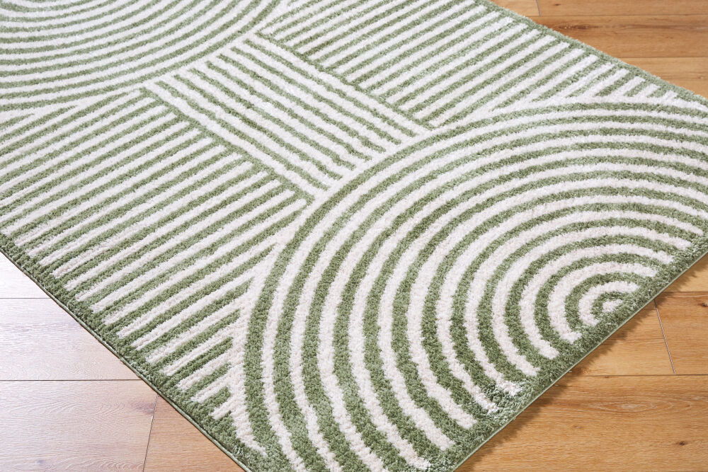 Fossay Shag Machine Woven Rug