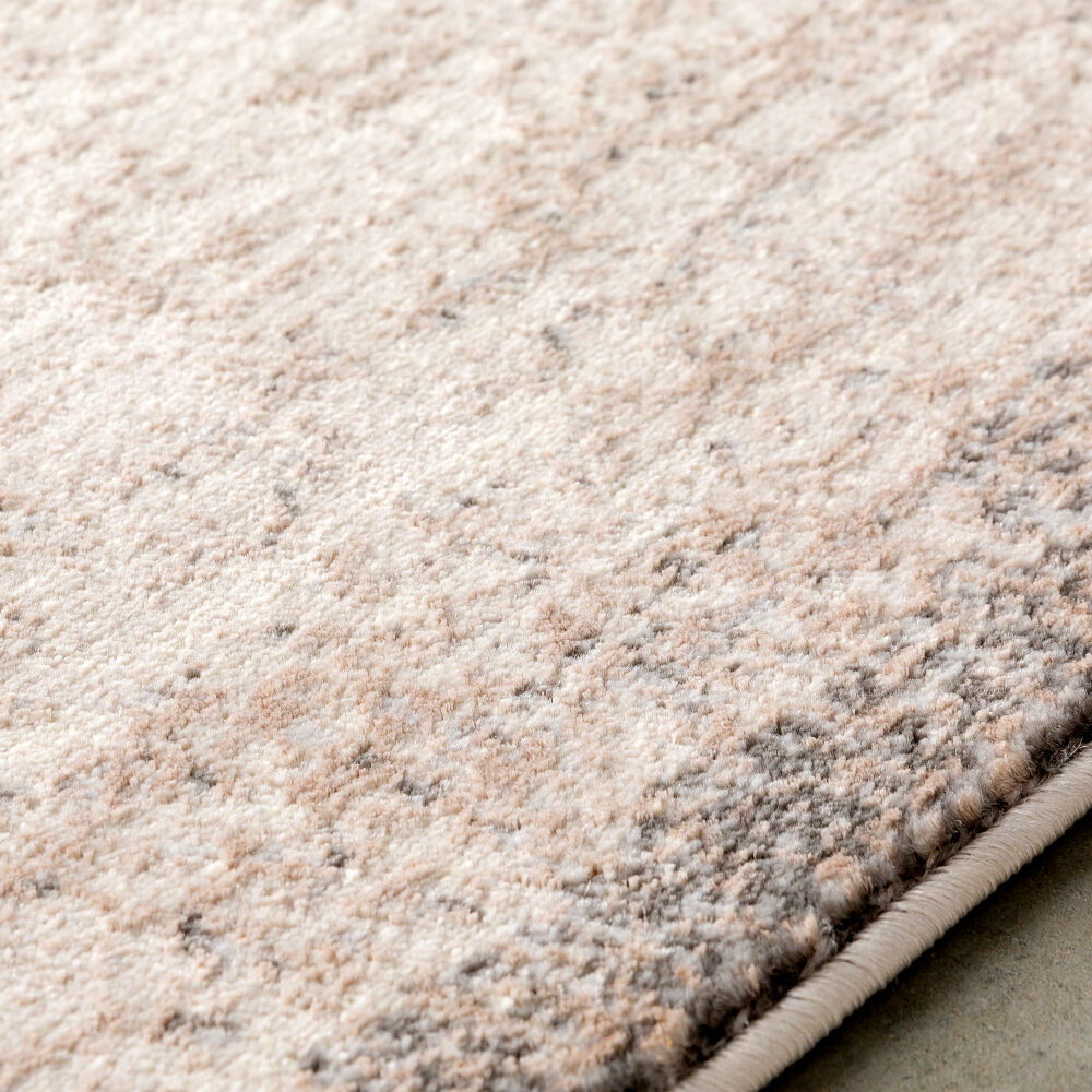 Amadeo Machine Woven Rug