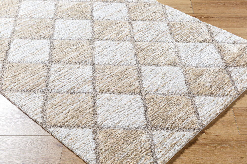 Delight Shag Machine Woven Rug