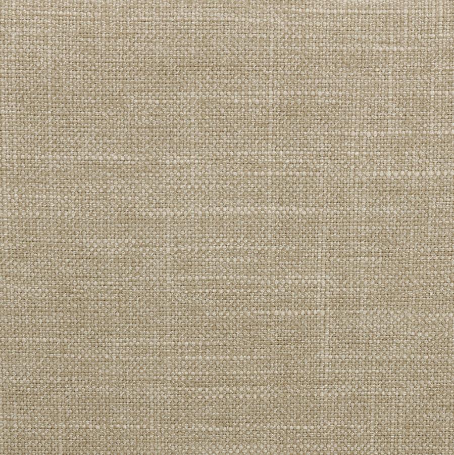 Coaster Fine Furniture Chloe - Upholstered Panel Bed | Meri Furniture