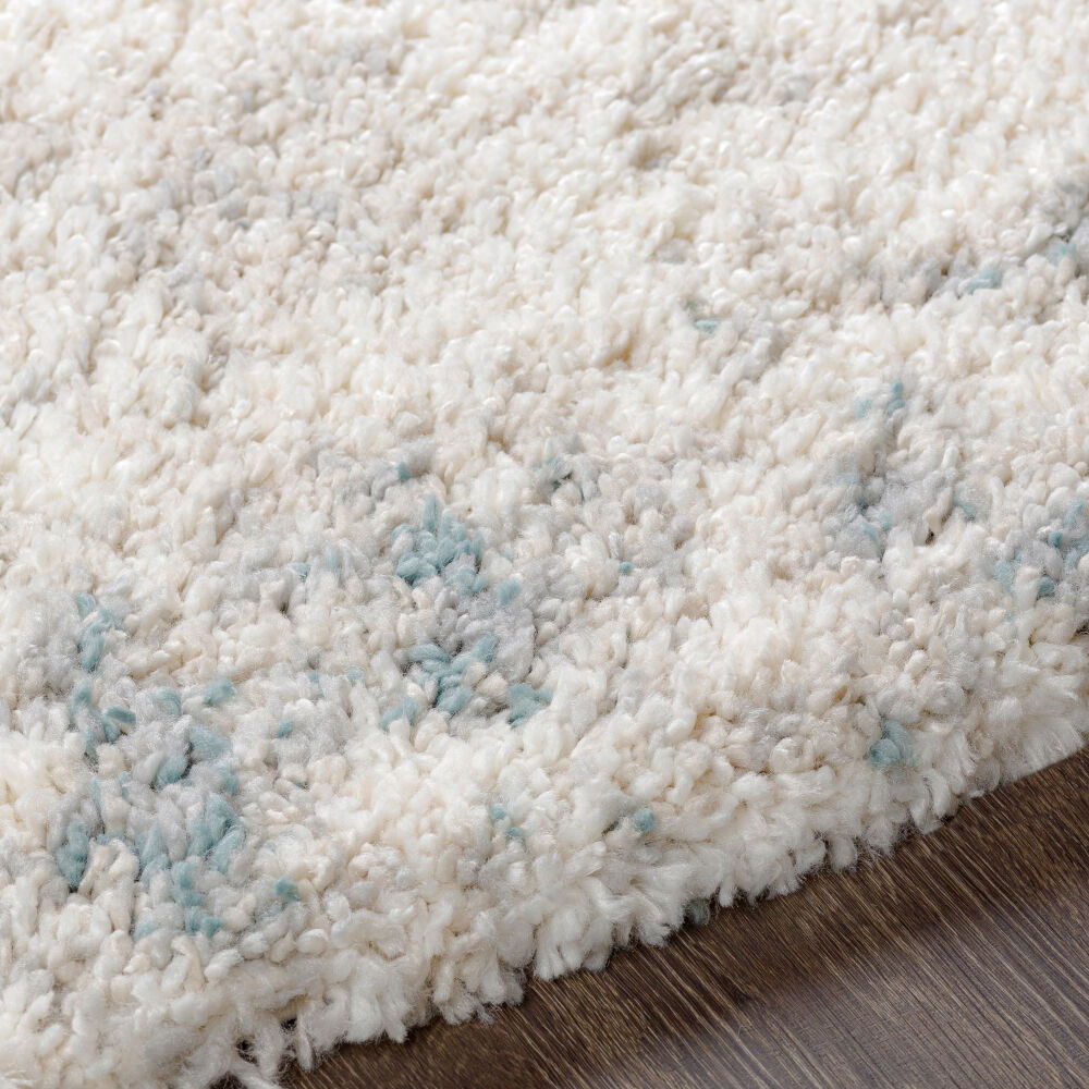 Eskimo Shag Machine Woven Rug