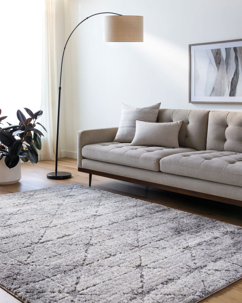 Andorra Plus Machine Woven Rug