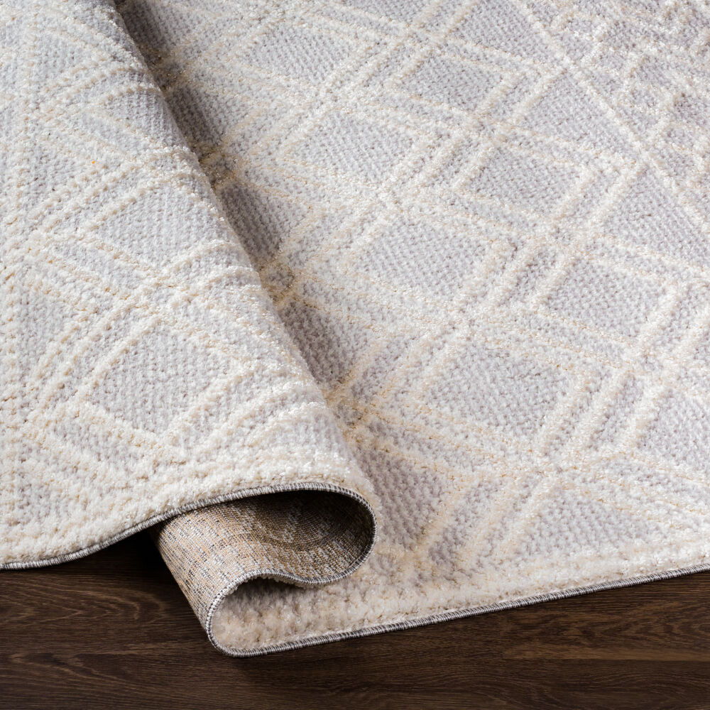 Valencia Machine Woven Rug