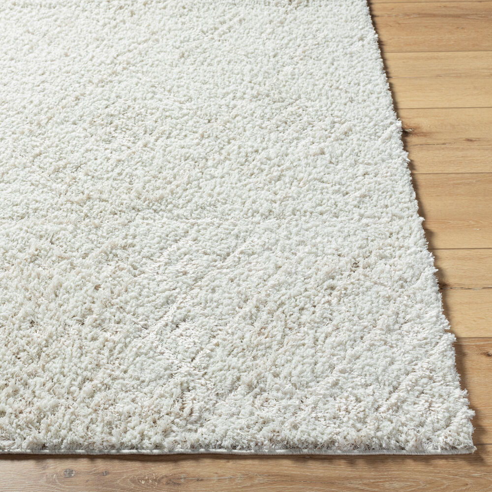 Maryland Shag Machine Woven Rug