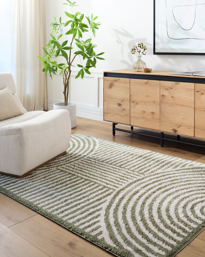 Fossay Shag Machine Woven Rug