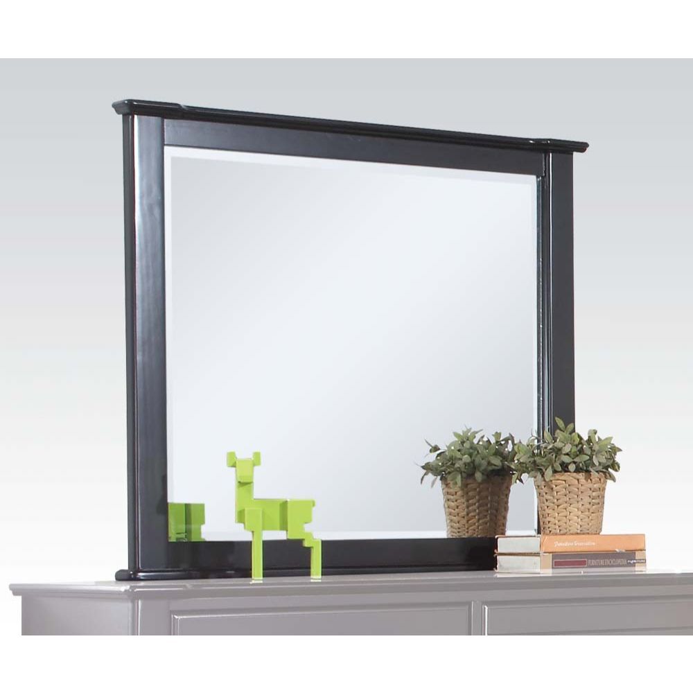 ACME Mirror with Beveled Edge: 2.5mm | Meri Furniture