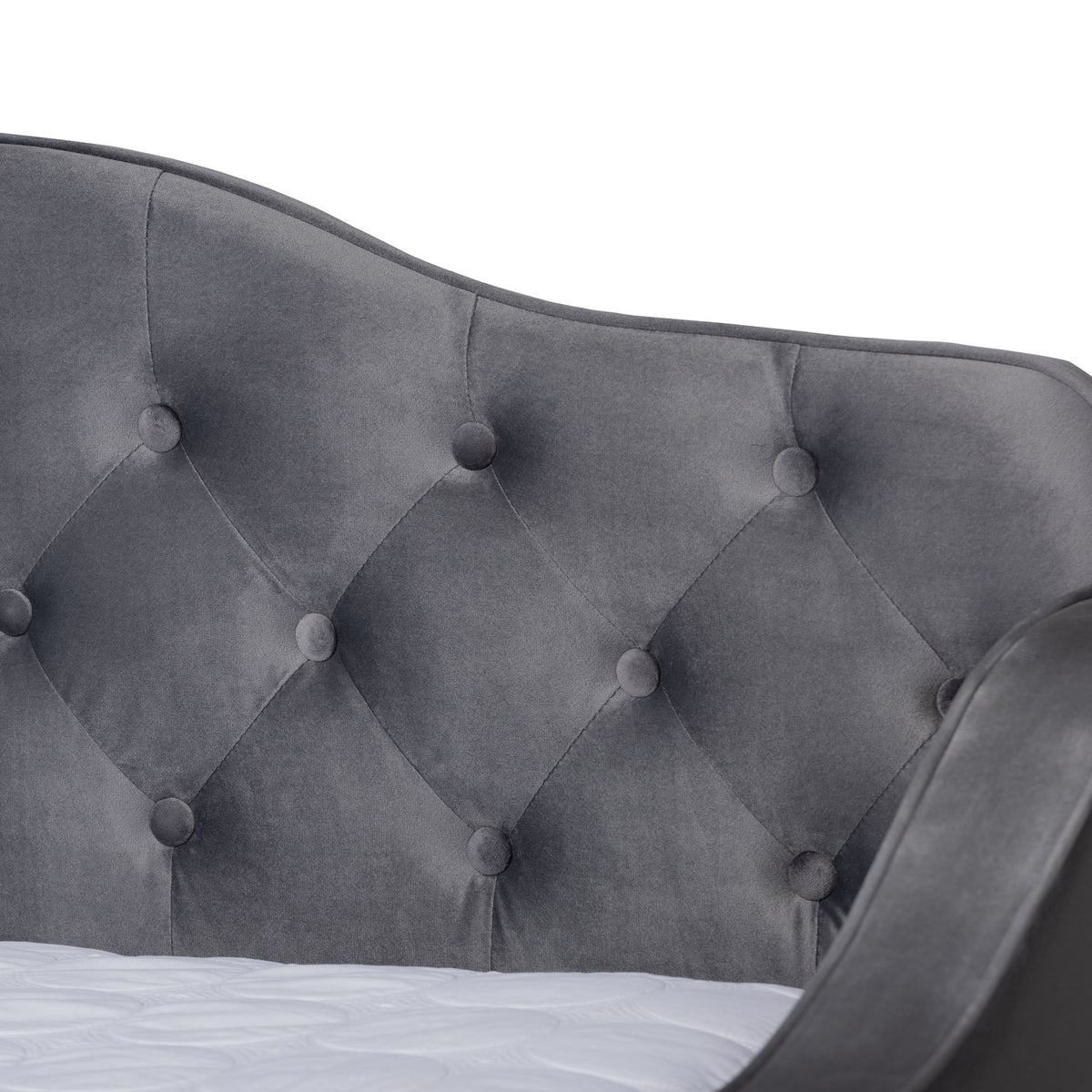 Freda Transitional and Contemporary Grey Velvet Fabric Upholstered and Button Tufted Queen Size Daybed with Trundle