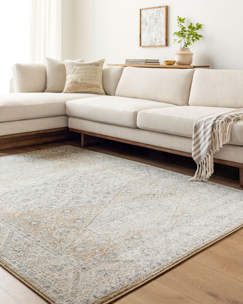 Alpharetta Machine Woven Rug